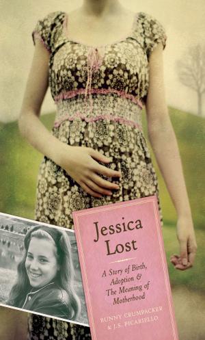 Cover of the book Jessica Lost by Craig Silverman