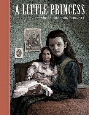 Cover of the book A Little Princess by Sandra Ingerman