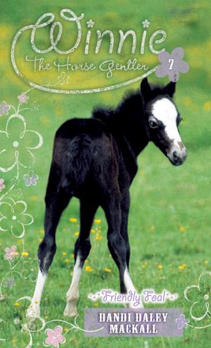Cover of the book Friendly Foal by David R. Veerman, The Barton-Veerman Co.