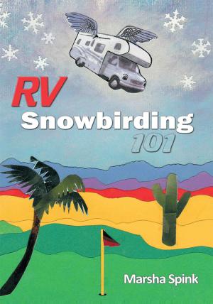 Cover of the book Rv Snowbirding 101 by Jay R. Leach