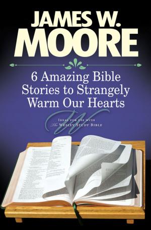 Book cover of 6 Amazing Bible Stories to Strangely Warm Our Hearts