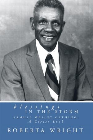 Cover of the book Blessings in the Storm by George D. Schultz