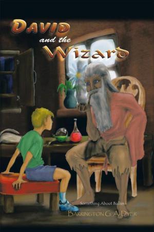 Cover of the book David and the Wizard by Iulian Ionescu, Pauline Alama, Hank Quense