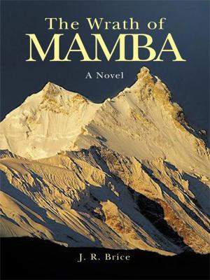 Cover of the book The Wrath of Mamba by KERMIT R. MERCER