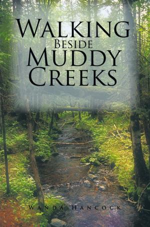 Cover of the book Walking Beside Muddy Creeks by Norman Fischbuch
