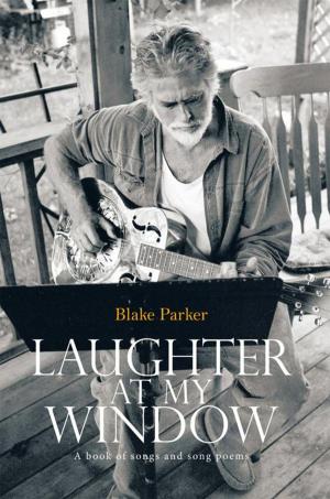 bigCover of the book Laughter at My Window by 