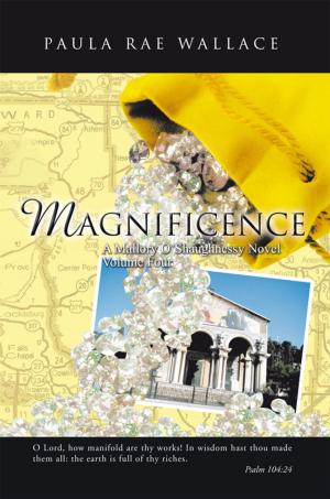 Cover of the book Magnificence a Mallory O’Shaughnessy Novel by BRIAN FUJIKAWA