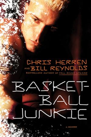 Book cover of Basketball Junkie