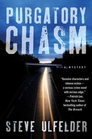 Cover of the book Purgatory Chasm by Marcia Willett