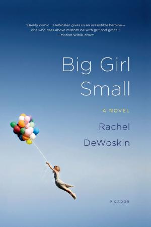 Book cover of Big Girl Small