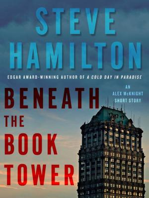 Cover of the book Beneath the Book Tower by Chris Handyside