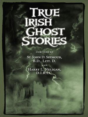 Cover of the book True Irish Ghost Stories by Michael Powell