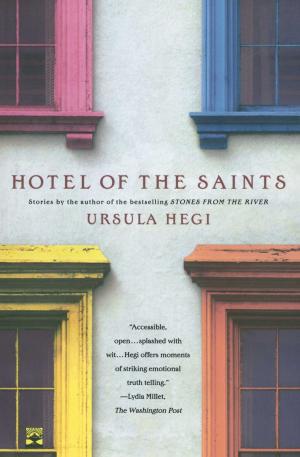 Book cover of Hotel of the Saints