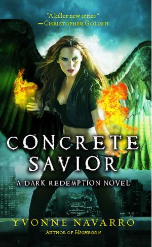 Cover of the book Concrete Savior by Clara Bayard