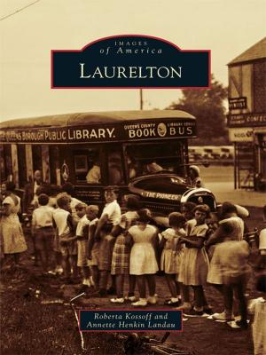 Cover of the book Laurelton by Michael D. Morgan