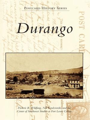 Cover of the book Durango by Amanda Paul