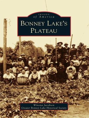 Cover of the book Bonney Lake's Plateau by Larry Allen McCluney Jr.