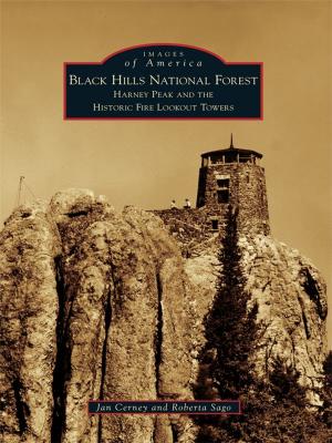 Cover of the book Black Hills National Forest by Brian Anderson, Eileen Anderson