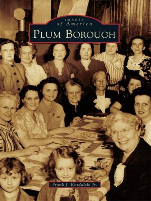 Cover of the book Plum Borough by Nate Jordon