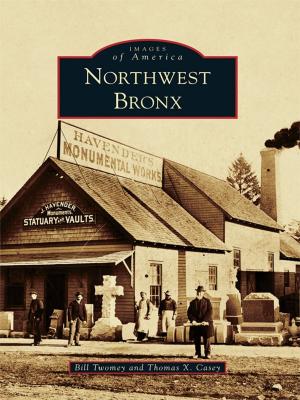 Book cover of Northwest Bronx