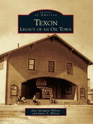 Cover of the book Texon by Berry Craig