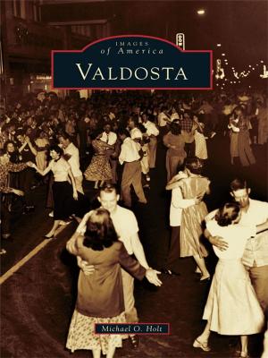Cover of the book Valdosta by Maarten de Kadt