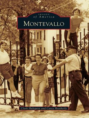 Cover of the book Montevallo by Anthony Puzzilla