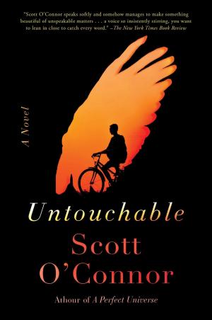 Cover of the book Untouchable by Sophie Littlefield
