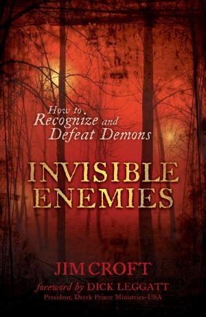 Cover of the book Invisible Enemies by Janette Oke