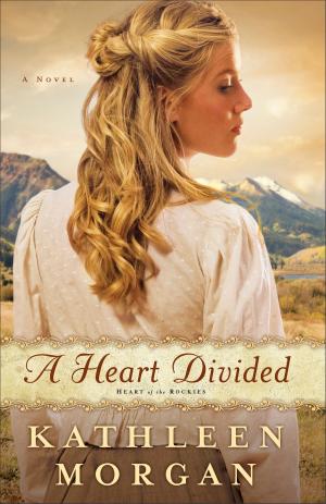 Cover of the book Heart Divided, A (Heart of the Rockies Book #1) by Ufuomaee