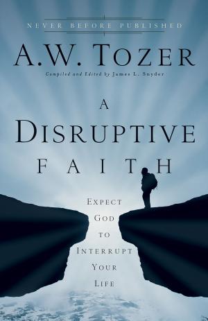 Cover of the book A Disruptive Faith by Leighann McCoy