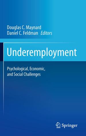 Cover of the book Underemployment by Jürgen Jost