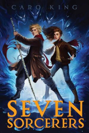 Cover of the book Seven Sorcerers by Amanda Marrone