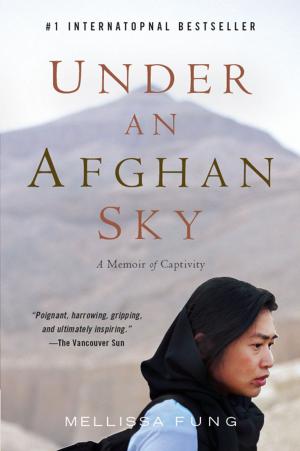 Cover of the book Under An Afghan Sky by Ellen Feldman