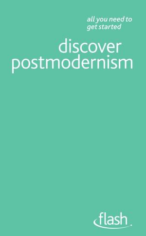 Cover of the book Discover Postmodernism: Flash by Brian Salter
