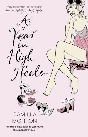Cover of the book A Year in High Heels by John Henderson