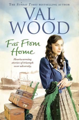 Cover of the book Far From Home by Susan Sallis