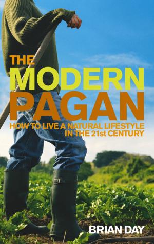 Cover of the book The Modern Pagan by Madeline Moore