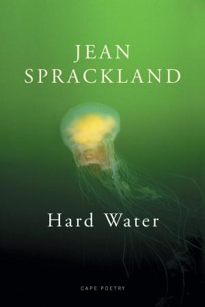 Cover of the book Hard Water by Barbara M Schwarz