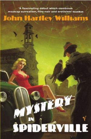 Cover of the book Mystery In Spiderville by Avril O'Reilly