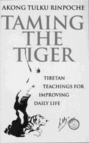 Cover of the book Taming The Tiger by Kendal Grahame, Grahame Kendal