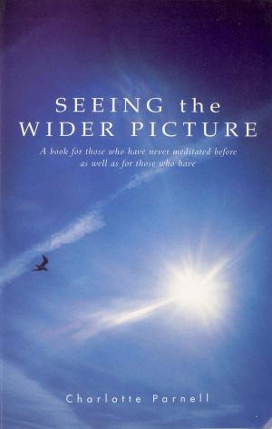 Cover of the book Seeing The Wider Picture by Jane Moore