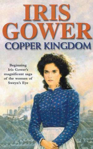 Cover of the book Copper Kingdom by Katie Flynn