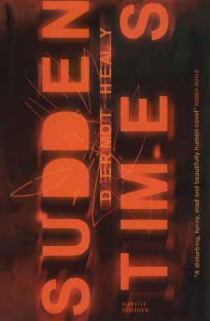 Cover of the book Sudden Times by Pieter Aspe