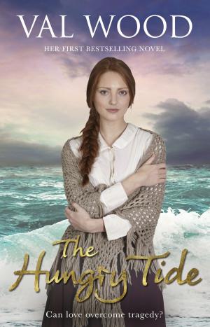Book cover of The Hungry Tide