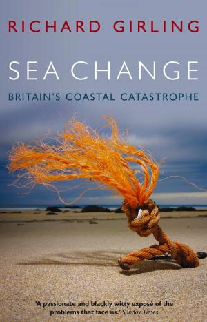 Cover of the book Sea Change by Mark Morris