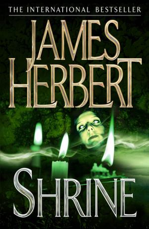 Cover of the book Shrine by Joe Rover