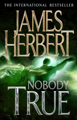 Cover of the book Nobody True by Roger Phillips