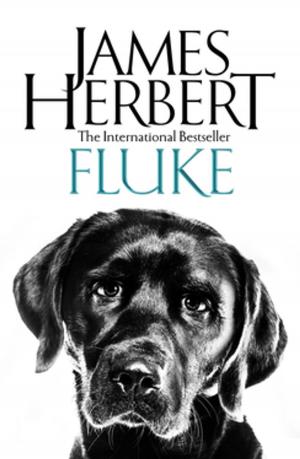Cover of the book Fluke by James Herbert