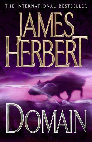 Cover of the book Domain by Christine Lee